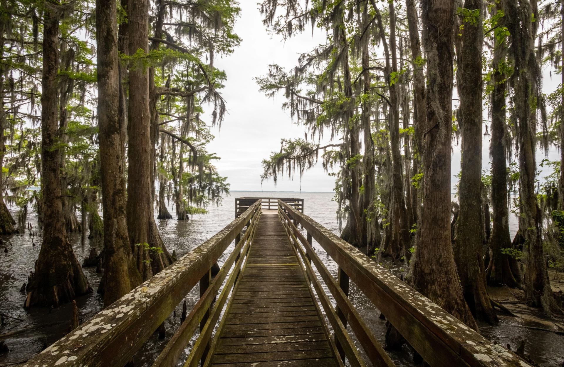 Pettigrew State Park in NC | Native American history site